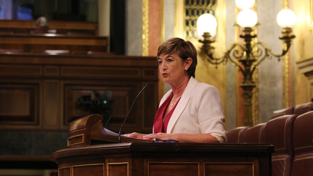 El Grupo Vasco consigue “reorientar” el carácter centralista de la Ley de Cooperación en una primera fase negociadora