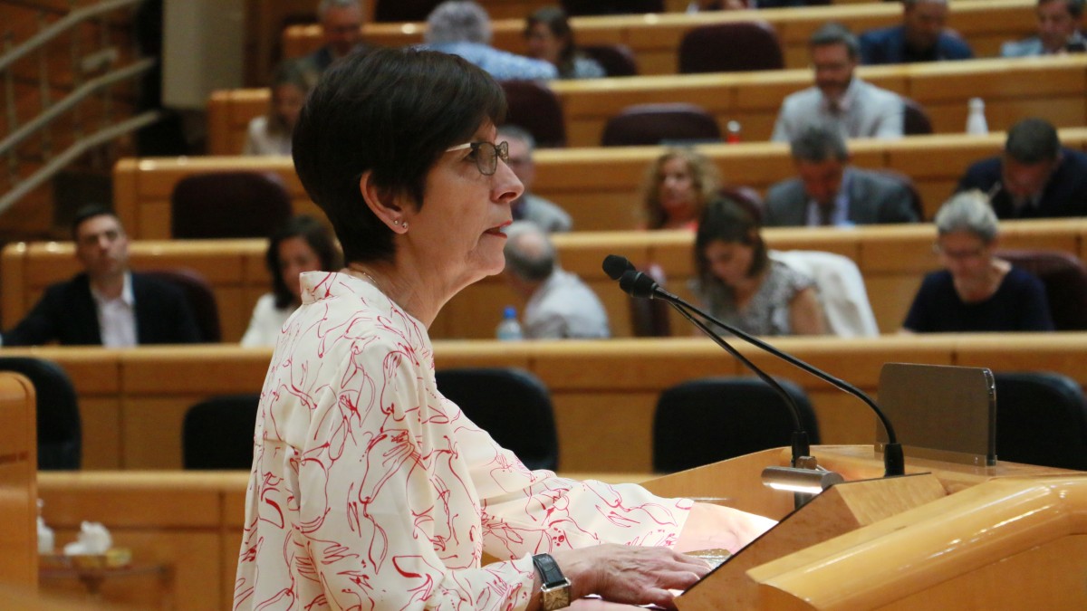 EAJ-PNV denuncia que el PP “busca arrinconar el euskera e invisibilizar a nuestro Pueblo” EAJ-PNV denuncia que el PP “busca arrinconar el euskera e invisibilizar a nuestro Pueblo”