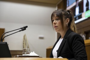 Pleno Ordinario en el Parlamento Vasco (15-12-2022)