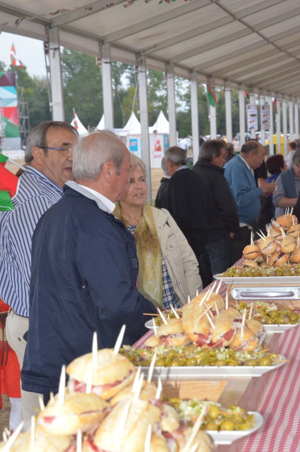 2014ko Alderdi Eguna EAJ-PNV - Alderdiko jendea