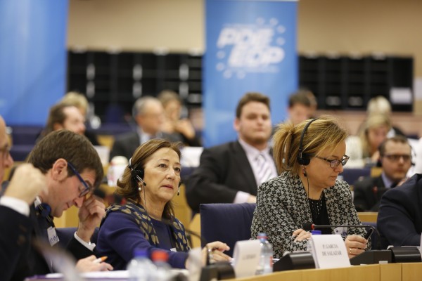 Congreso del Partido Demócrata Europeo (PDE)