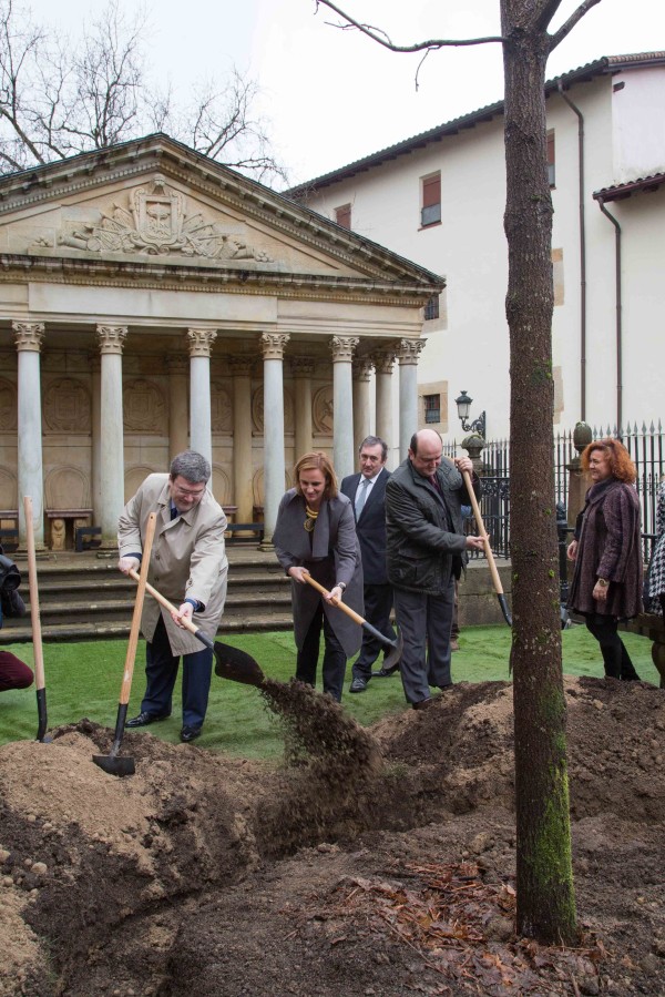 EAJ-PNV asiste a la plantación del joven roble en la Casa de Juntas de Gernika