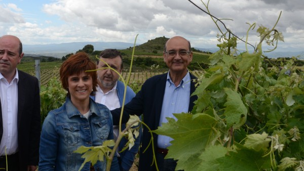 Páganos-Laguardia. Acto sectorial Agricultura (15-06-2016)
