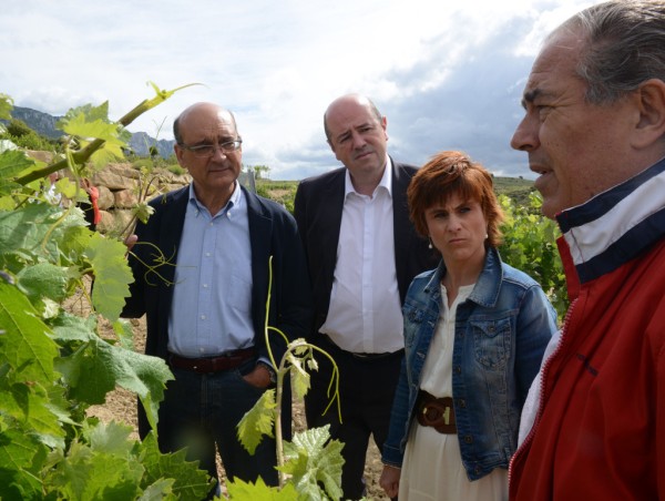 Páganos-Laguardia. Acto sectorial Agricultura (15-06-2016)
