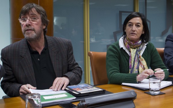 Comparecencia de Arantxa Tapia - XI legislatura