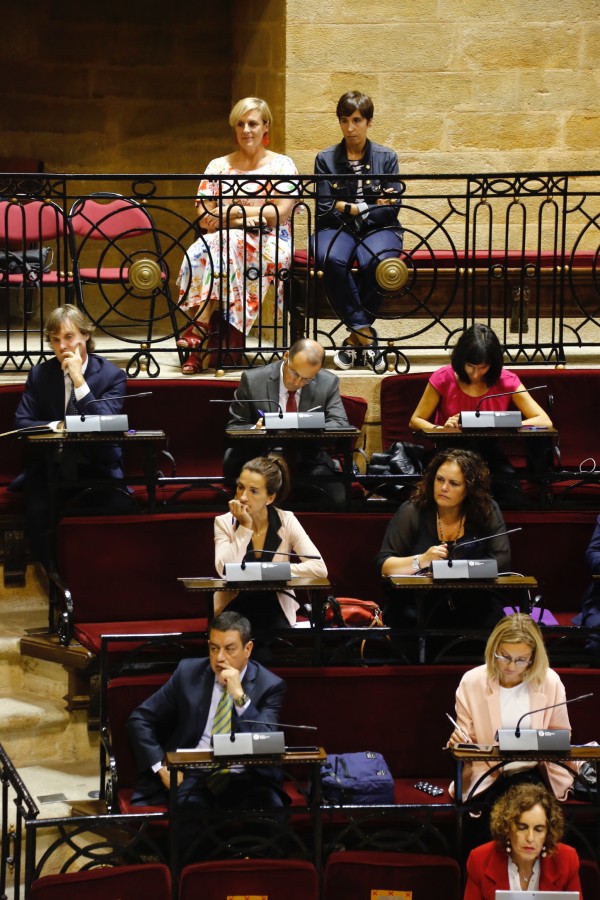 Pleno política general del Territorio histórico de Bizkaia 2018