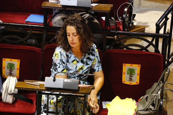 Pleno política general del Territorio histórico de Bizkaia 2018