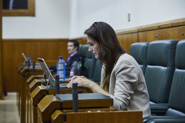 Diputación Permanente en el Parlamento Vasco