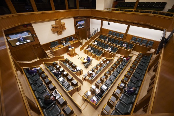 Diputazio Iraunkorra Legebiltzarrean (2020-05-08)