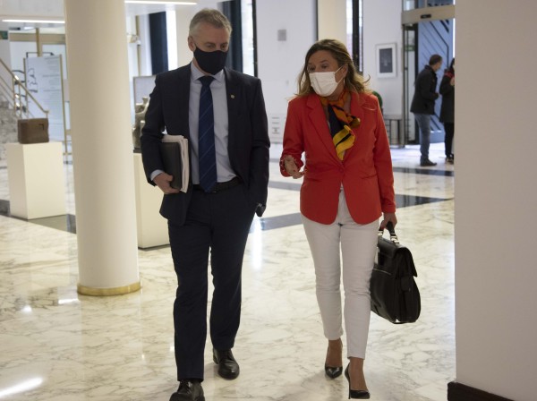 Pleno Ordinario en el Parlamento Vasco (13-05-2021) 