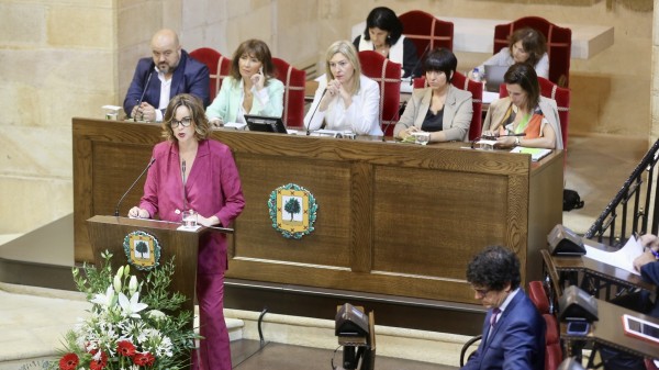 Elixabete Etxanobe - Pleno de designación de la Diputada General de Bizkaia