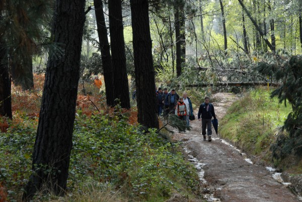 Aurre Aberri Eguna 2009
