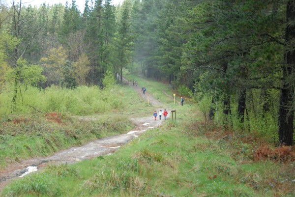 Aurre Aberri Eguna 2009