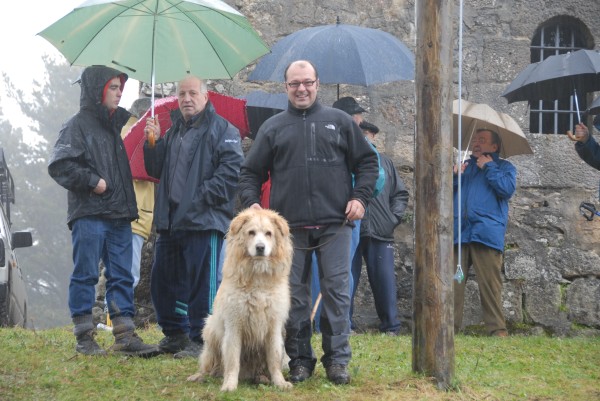 Aurre Aberri Eguna 2009