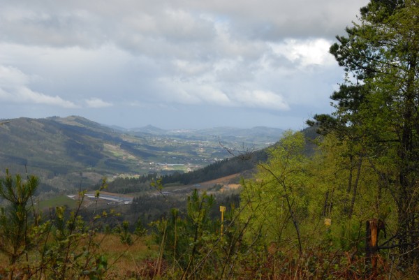 Aurre Aberri Eguna 2009