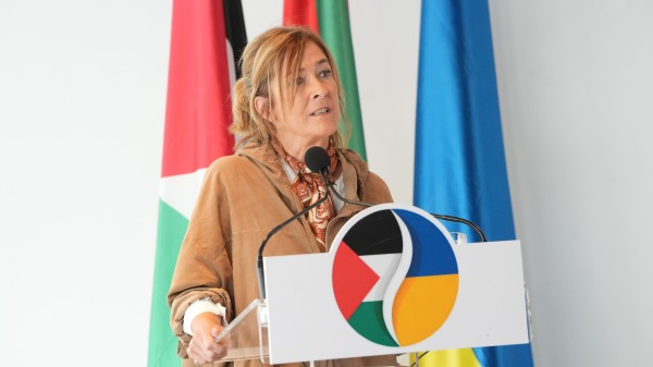 Bakea Gaza eta Ukrainian