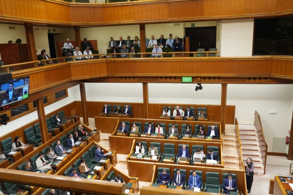 2026 10 28 Osoko bilkura monografikoa Euskadiko segurtasun publikoari buruz