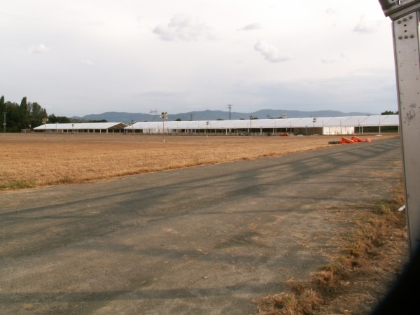 2009. urteko Alderdi Egunerako antolakuntza lanak