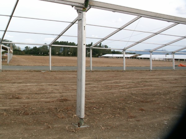 2009. urteko Alderdi Egunerako antolakuntza lanak