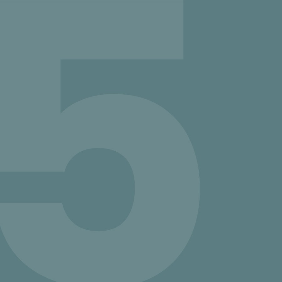 5. TXOSTENA-Antolaketa demokratikoa