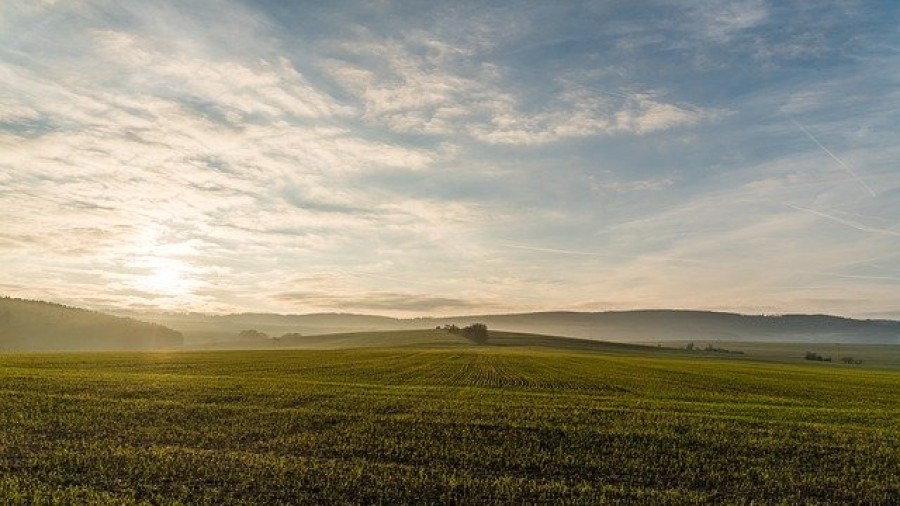 Las principales instituciones de Navarra debaten medidas para frenar la despoblación rural Las principales instituciones de Navarra debaten medidas para frenar la despoblación rural
