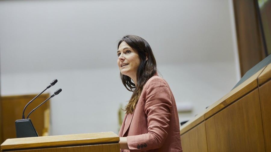 EAJ-PNV considera que las instituciones vascas están respondiendo con eficacia al problema de la violencia machista dentro de la alarma sanitaria