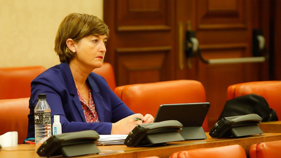 Gipuzkoako eta Nafarroako mugaz gaindiko eremuei berehala 