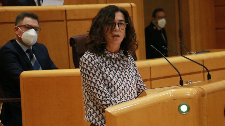 EAJ-PNVk ez dio zuzenketarik aurkeztuko LOMLOEri Senatuan