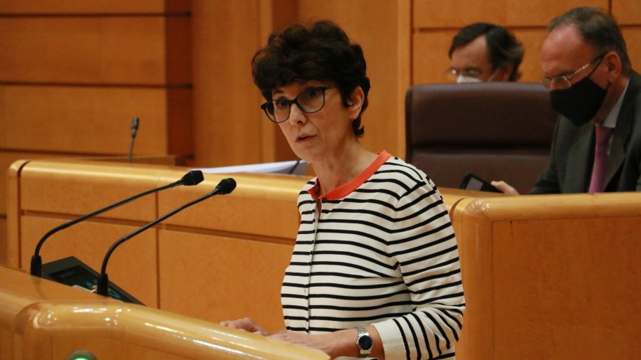 EAJ-PNV apoya la Ley de Infancia tras lograr introducir la salvaguarda del ámbito competencial de Euskadi