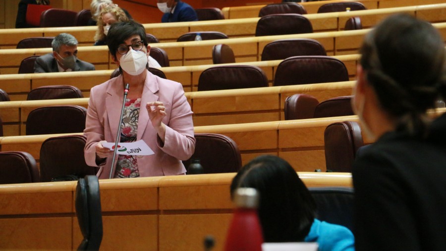 María Dolores Etxano demanda al Gobierno que garantice el lenguaje igualitario, inclusivo y no sexista en los textos legales