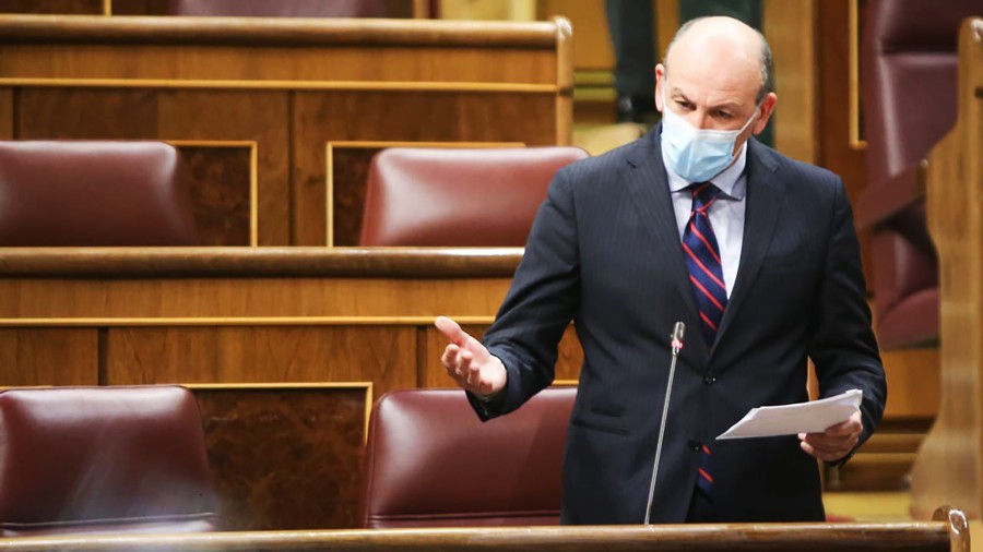 El Grupo Vasco reclama al Gobierno que mantenga, ante Bruselas, las cuotas actuales de merluza para 2022