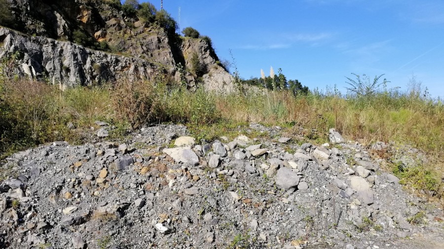 ¿Por qué EH Bildu no actúa contra los responsables de que el relleno de la cantera no cumpla la ley?