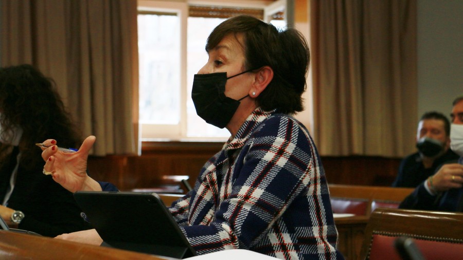 EAJ-PNVk proposatuta, Senatuak gaueko tarifa elektrikoa sortzea eskatu du enpresei kostuak merkatzeko