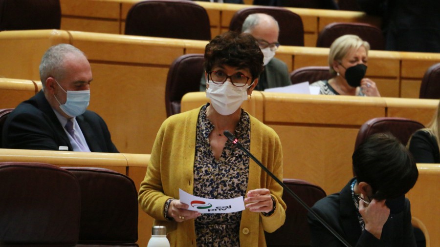 Maribel Vaquerok Euskadiko aldirietako zerbitzua hobetzeko neurri zehatzen plan bat eskatu dio Garraio ministroari