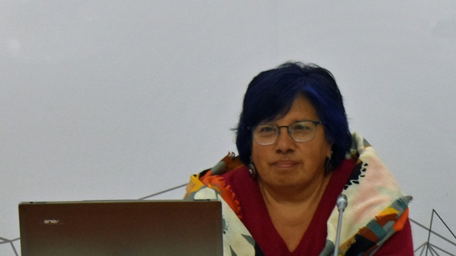 Norma Vázquez psikologo eta indarkeria matxistan adituak gizonen eta emakumeen sexualitatea eraikitzeko beste modu batzuk aztertuko ditu, desberdintasun ezaren ikuspegitik, Iruñeko Tres Reyes hotelean
