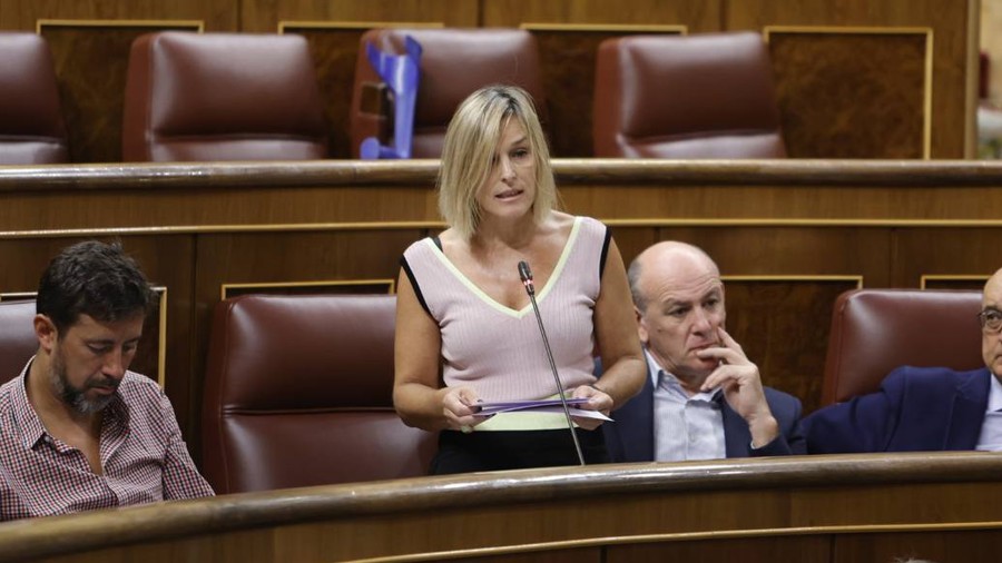 En respuesta a EAJ-PNV, el Gobierno español confirma su apuesta por un nuevo compresor que amplíe la capacidad del gasoducto de Irún En respuesta a EAJ-PNV, el Gobierno español confirma su apuesta por un nuevo compresor que amplíe la capacidad del gasoducto de Irún