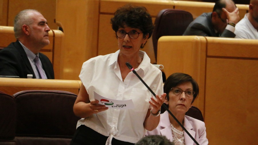 Pablo Gonzalezen eskubideak berrezartzeko eta berehala prozesu judizial justua lortzeko jarduteko eskatu dio Maribel Vaquerok Espainiako Gobernuari