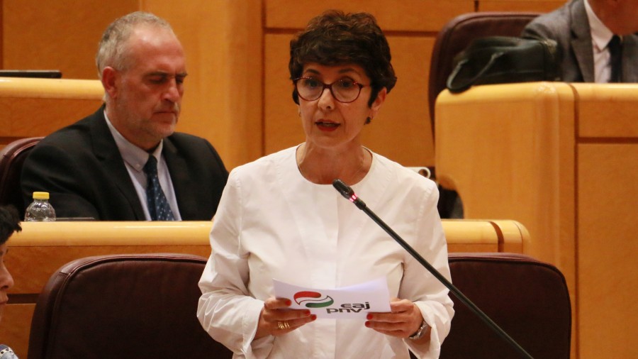 Pandemiarekin Euskadin kendutako tren zerbitzuak berrezartzeko eskatu dio EAJ-PNVk Garraio Ministerioari