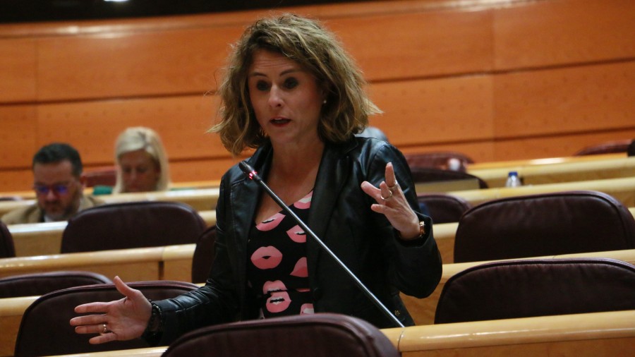 EAJ-PNVk Kultura Bonu Gaztea eskuratzeko izapideak errazteko eskatu dio Kultura ministroari EAJ-PNVk Kultura Bonu Gaztea eskuratzeko izapideak errazteko eskatu dio Kultura ministroari