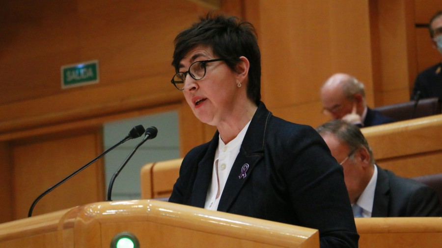María Dolores Etxanok zuhurtziaren eta zorroztasunaren alde egin du Sexu Askatasunaren Berme Integralaren Legea aldatzeko eskaeraren aurrean