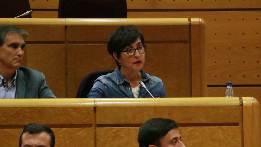 María Dolores Etxano critica la “instrumentalización” que el Partido Popular hace del Senado María Dolores Etxano critica la “instrumentalización” que el Partido Popular hace del Senado