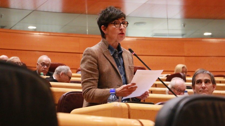 María Dolores Etxanok guraso bakarreko familiak babesteko politika espezifikoak garatzera deitu du