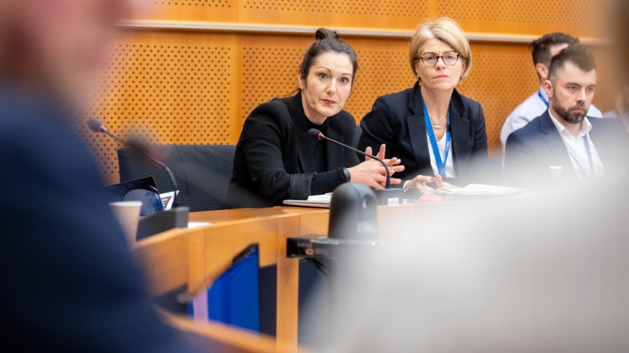 El Intergrupo de Minorías y Lenguas echa de nuevo a andar en el Parlamento Europeo con el impulso y la participación de Oihane Agirregoitia