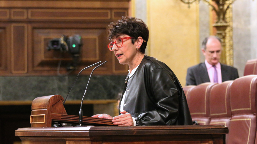 EH Bilduk eta Sumarrek, PPren botoak baliatuz, Euskal Taldearen Lurzoruaren Legearen erreforma ezeztatu dute