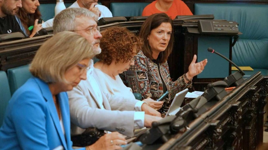  Artolazabal condena los ataques personales sufridos en el contexto de la huelga y defiende el respeto como base de la convivencia democrática
