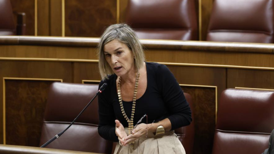 El Grupo Vasco pide al Gobierno español que aclare cómo y cuándo va a incorporar la jubilación anticipada de las personas trabajadoras y cuidadoras de grandes dependientes