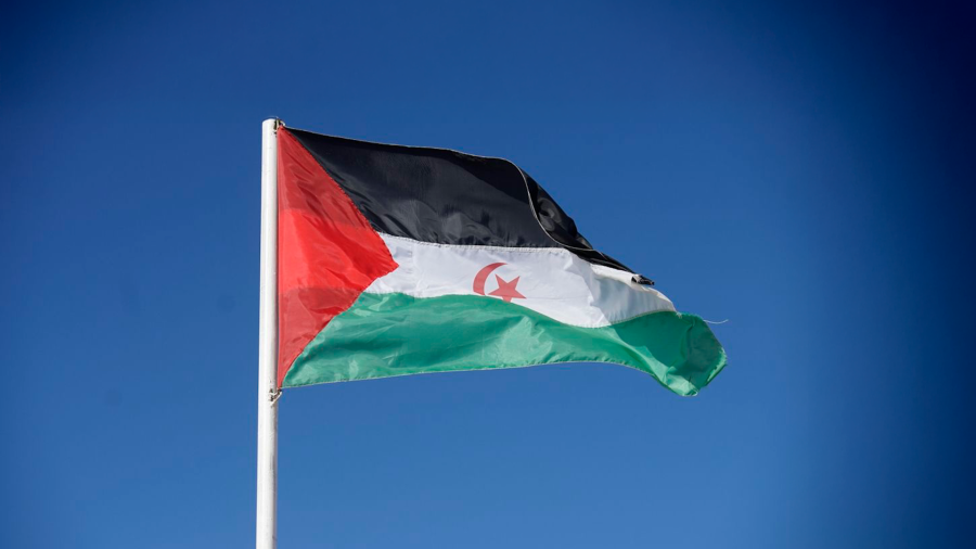 EAJ-PNVren EBBren adierazpena Nazio Batuen Erakundeak Mendebaldeko Sahararen inguruan egin duen 2797 ebazpenaren aurrean