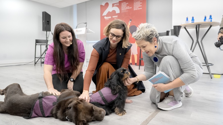 Sexu-abusuen biktimentzako foru-programak babesgabetasun-egoeran dauden 600 adingabe baino gehiago lagundu ditu 2000tik Sexu-abusuen biktimentzako foru-programak babesgabetasun-egoeran dauden 600 adingabe baino gehiago lagundu ditu 2000tik