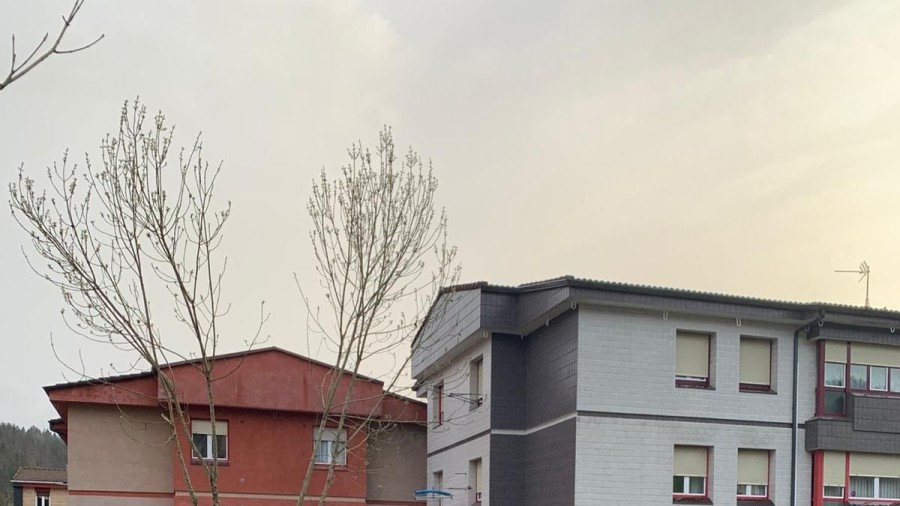 Zaldibarko EAJ-PNVk espazio publikoak mantentzearen utzikeria eta udalerriko argiztapen arazoak salatu ditu