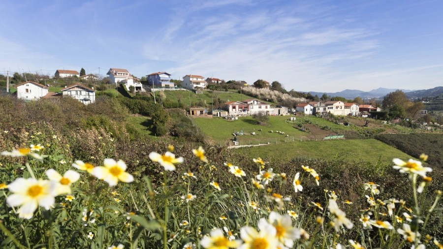 Los partidos políticos de Erandio se reunirán con el Gobierno Vasco para analizar la información sobre la calidad del aire del municipio